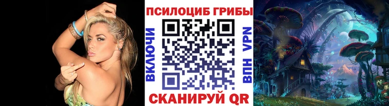 Галлюциногенные грибы мухоморы  Купить закладки  Буй 